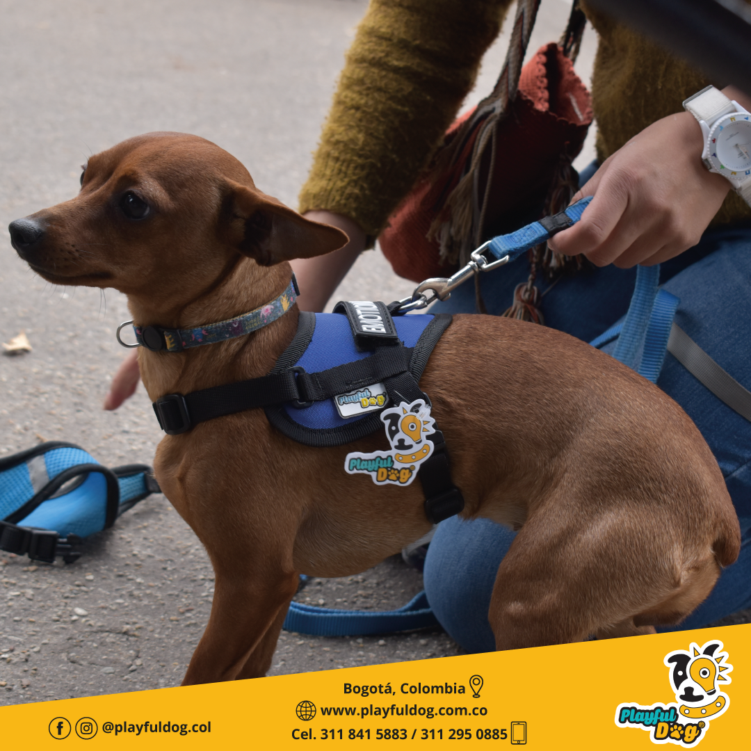 Arnés Para Perro o Gato Emotional Support - XS
