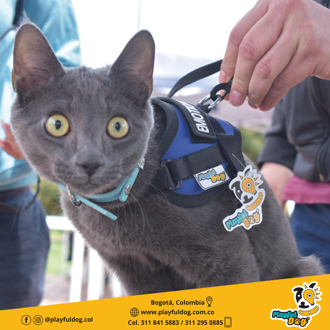 Arnés Para Perro o Gato Emotional Support - XS