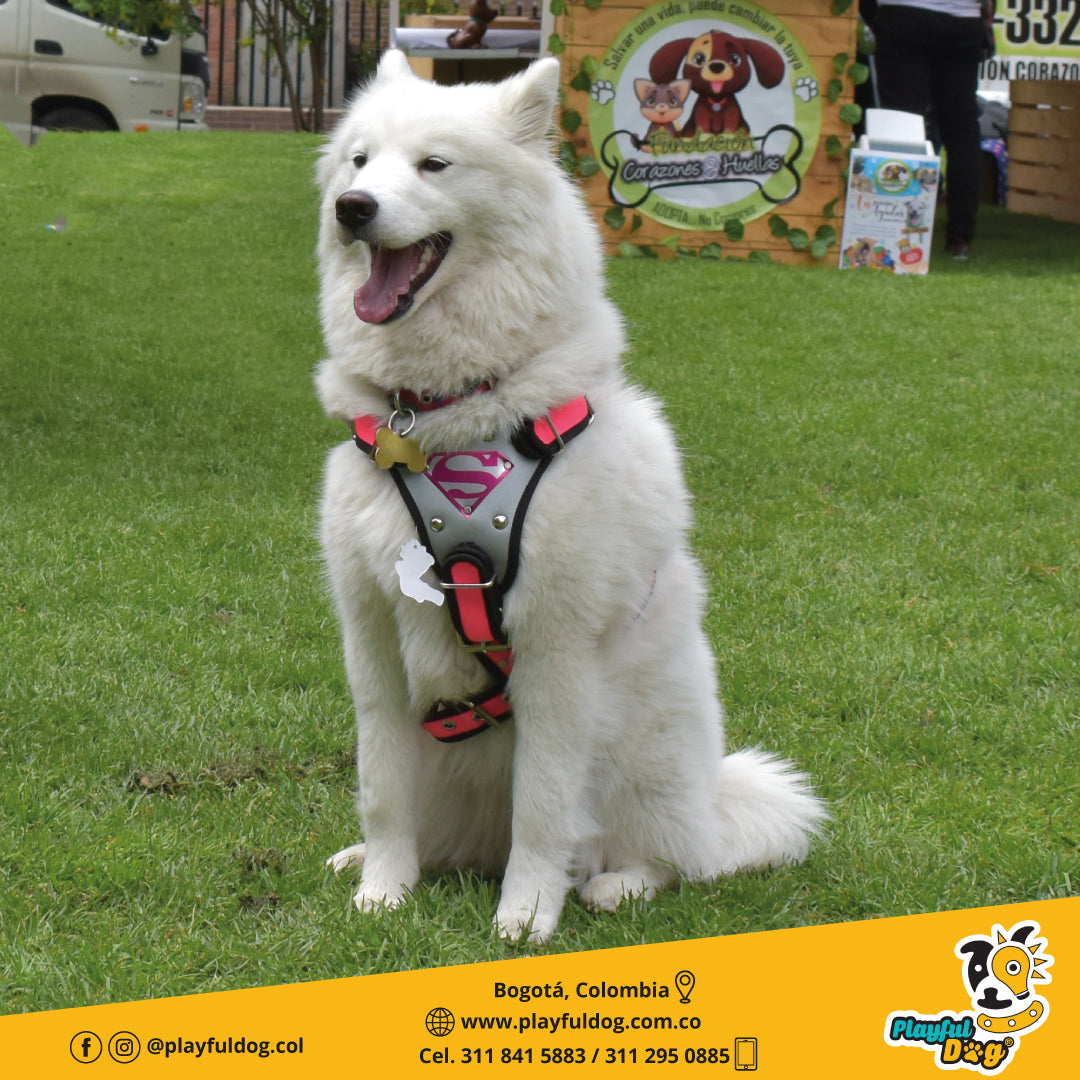Pechera para Perros Superhéroes