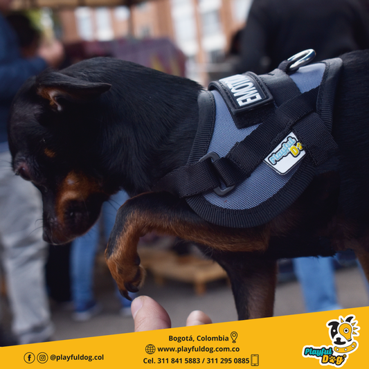 Arnés Para Perro o Gato Emotional Support - XS