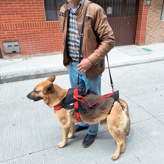 Arnés Para Perro Con Soporte De Cadera