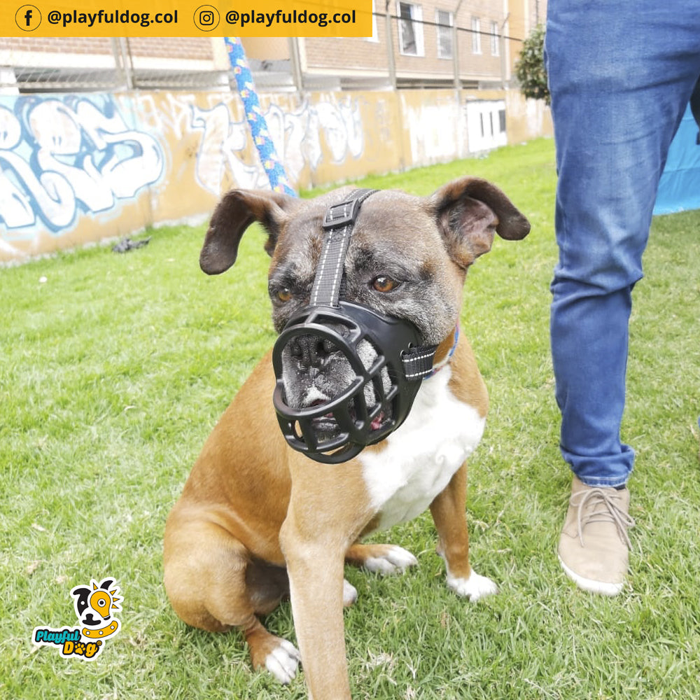 Bozal Para Perro En Caucho
