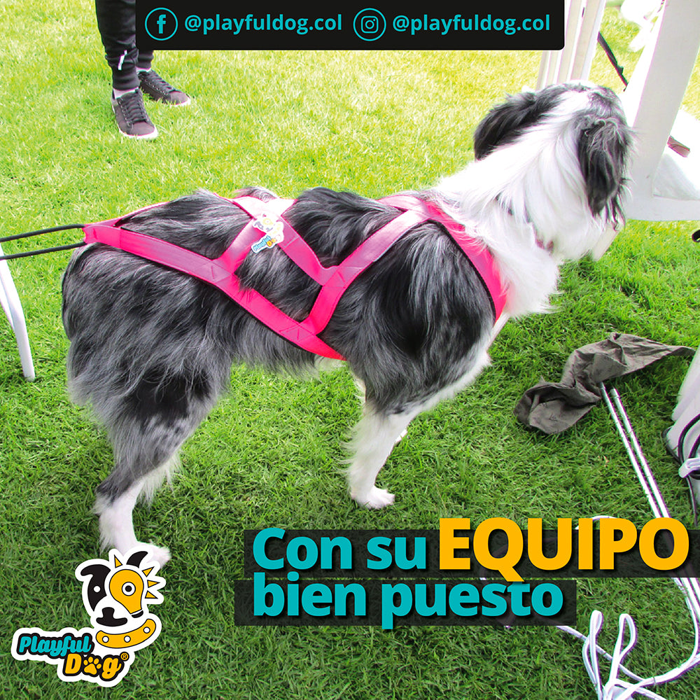 Arnes Para Perro G1 Canicross