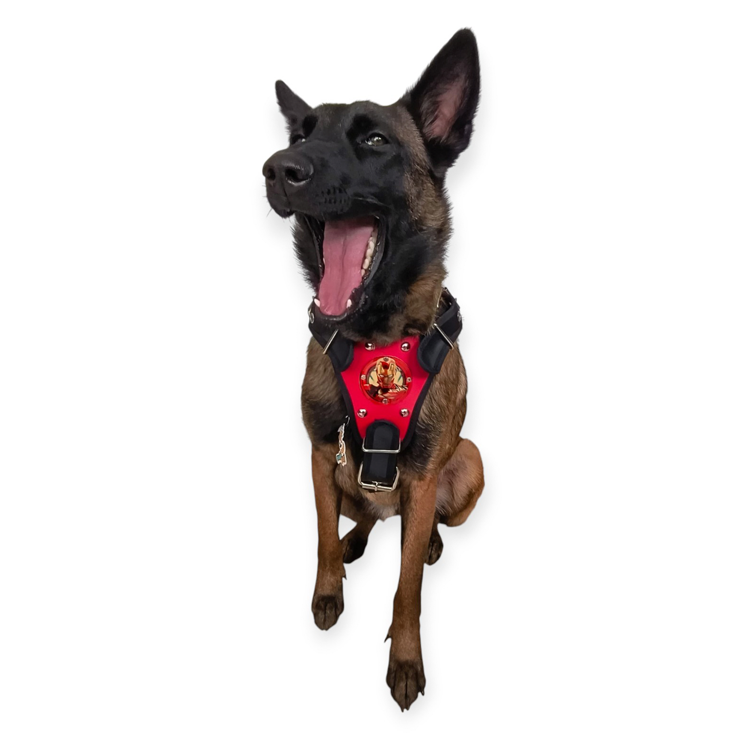 Pechera para Perros Superhéroes