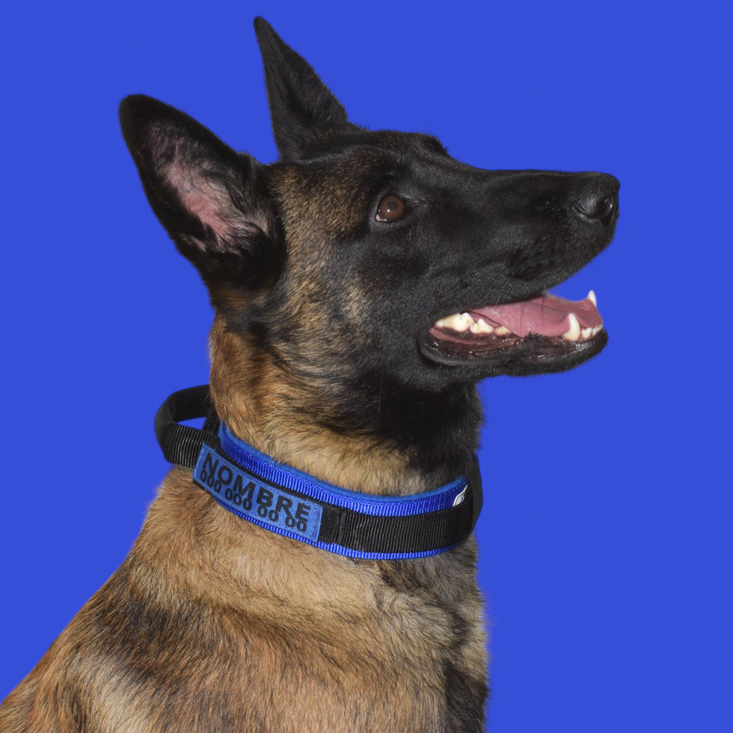 Collar Táctico Militar para Perros