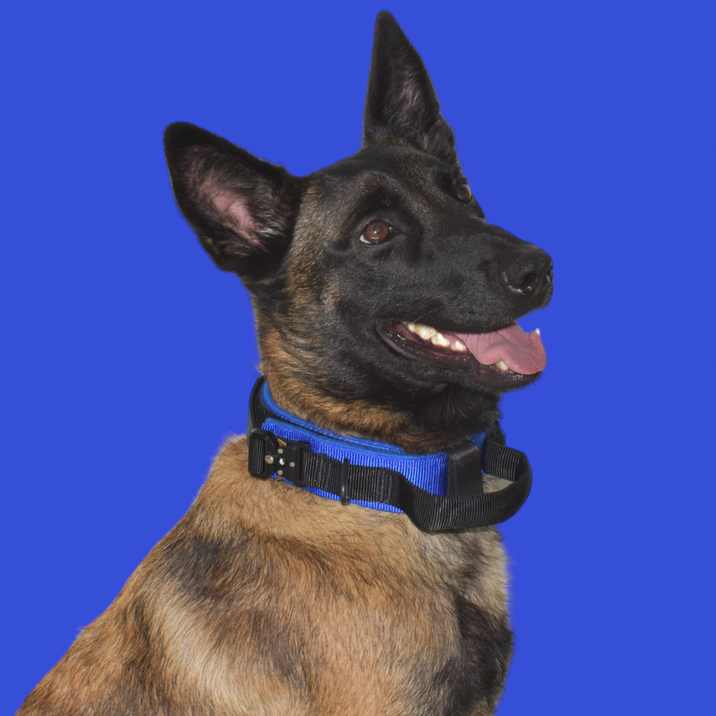 Collar Táctico Militar para Perros