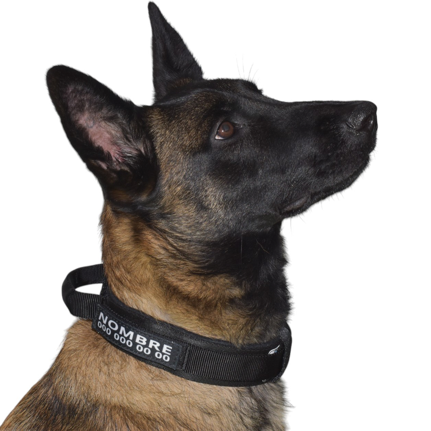 Collar Táctico Militar para Perros