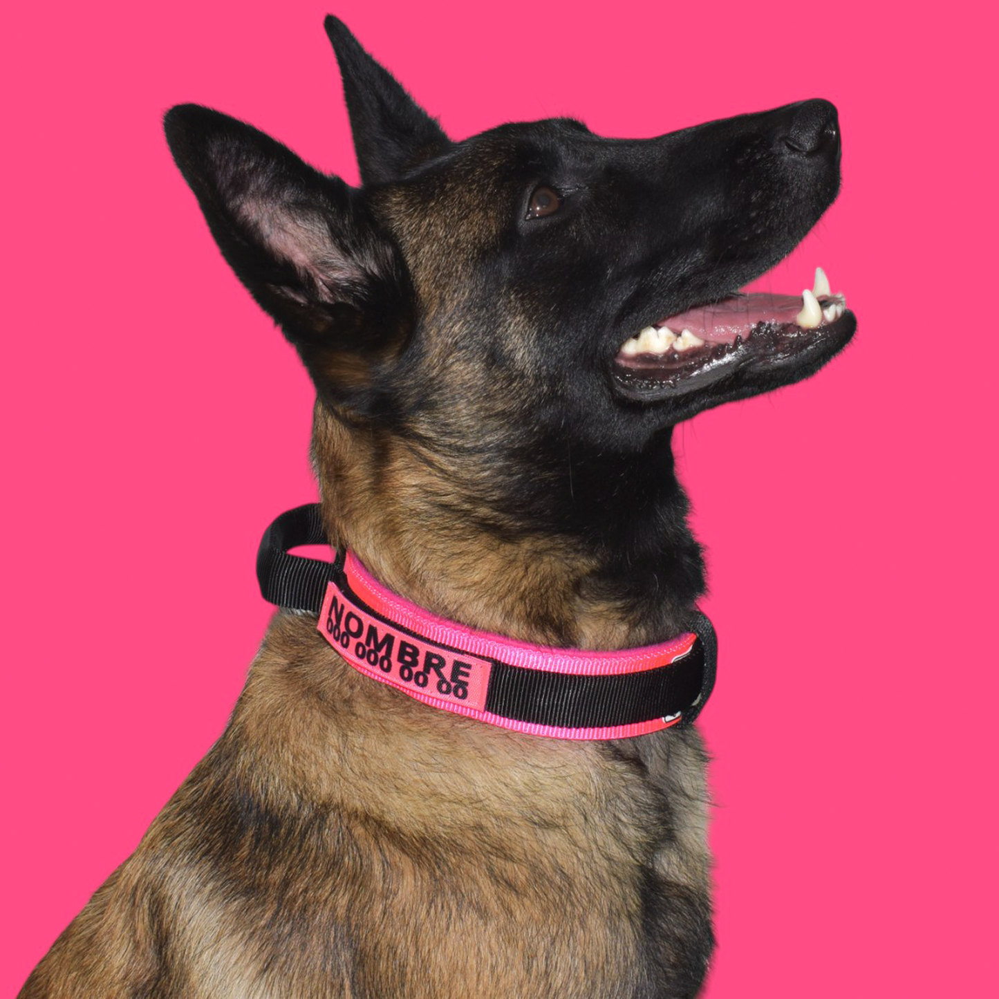 Collar Táctico Militar para Perros