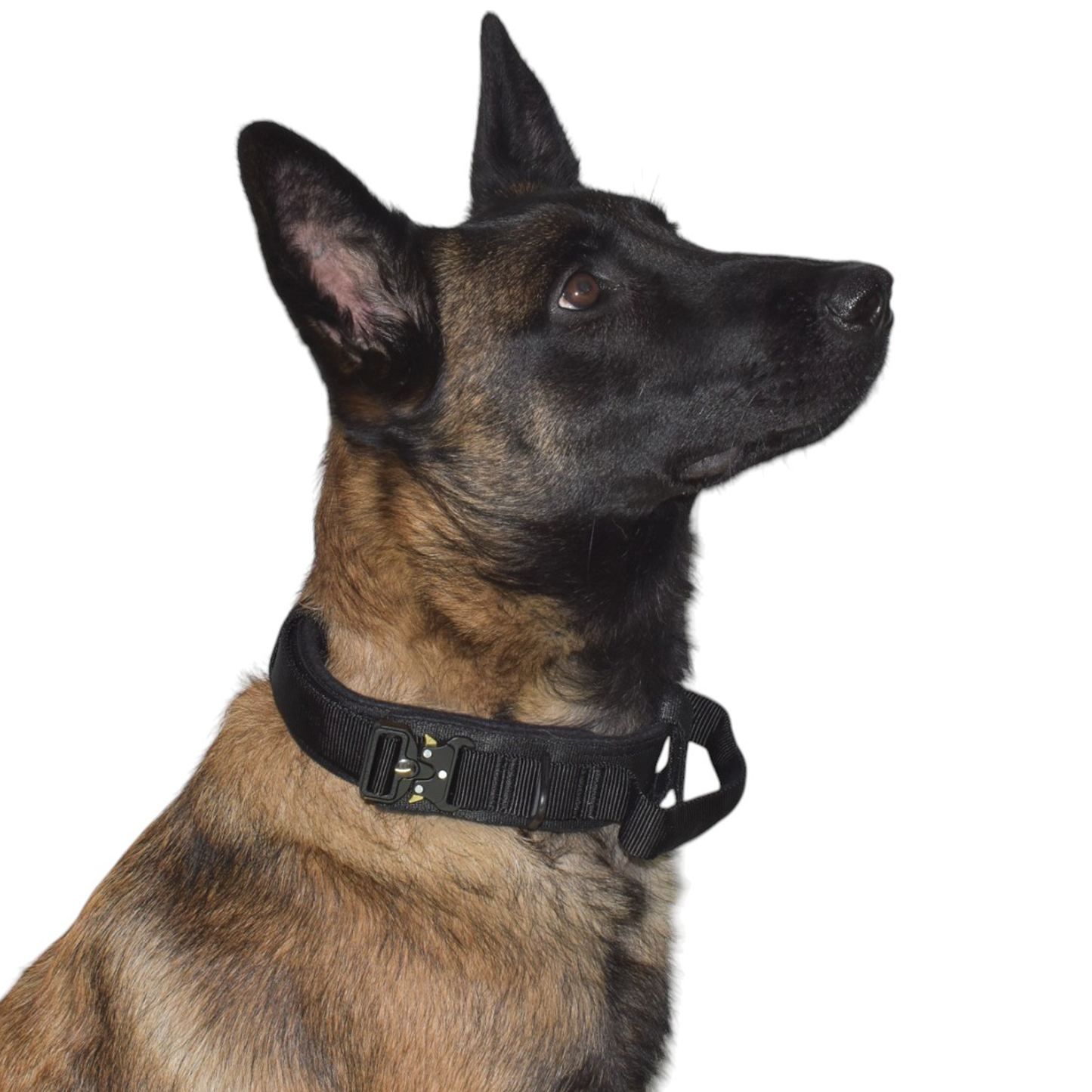 Collar Táctico Militar para Perros