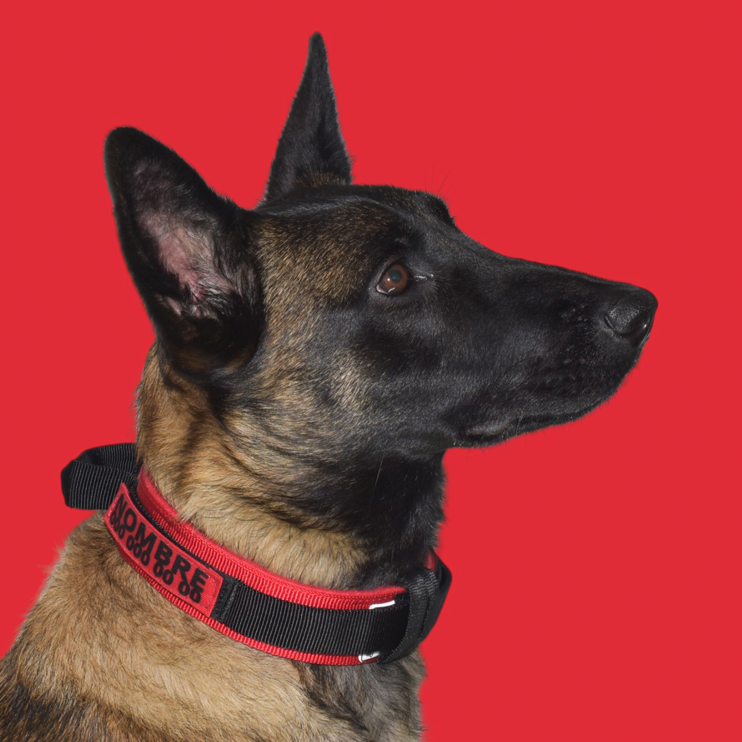 Collar Táctico Militar para Perros