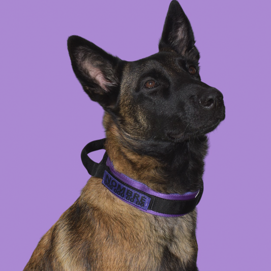 Collar Táctico Militar para Perros