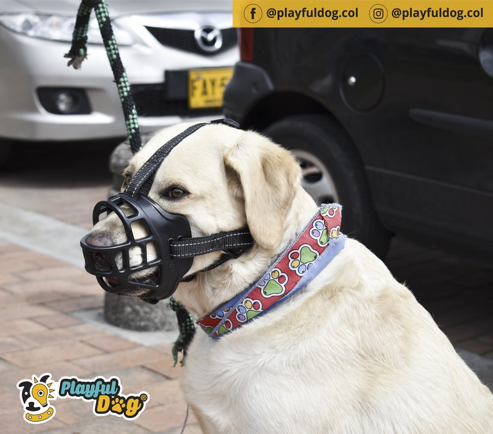Bozal Para Perro En Caucho