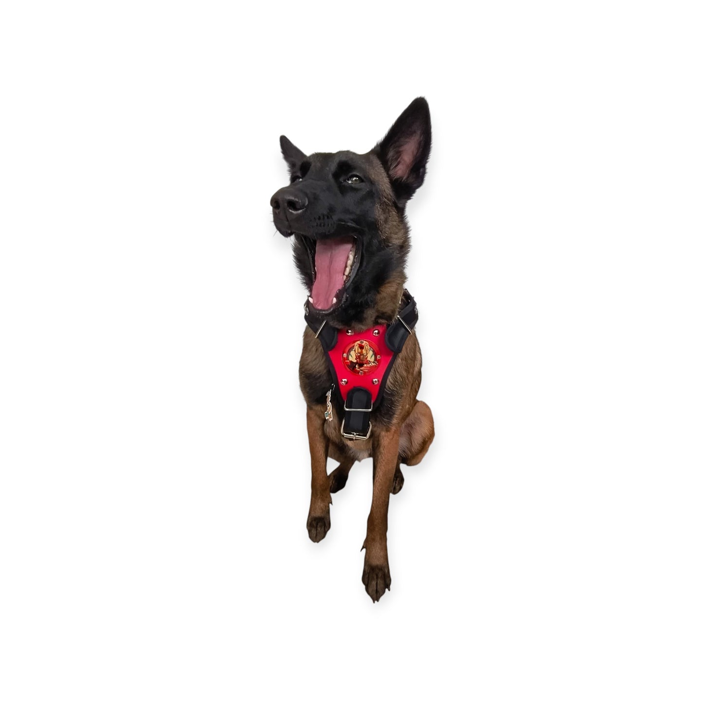 Pechera para Perros Superhéroes