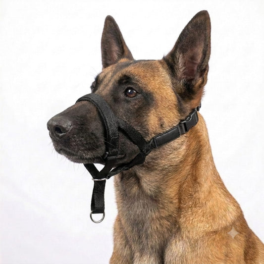 Collar Halti Antitirones Para Perros