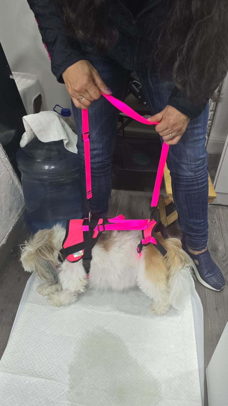 Arnés Para Perro Con Soporte De Cadera