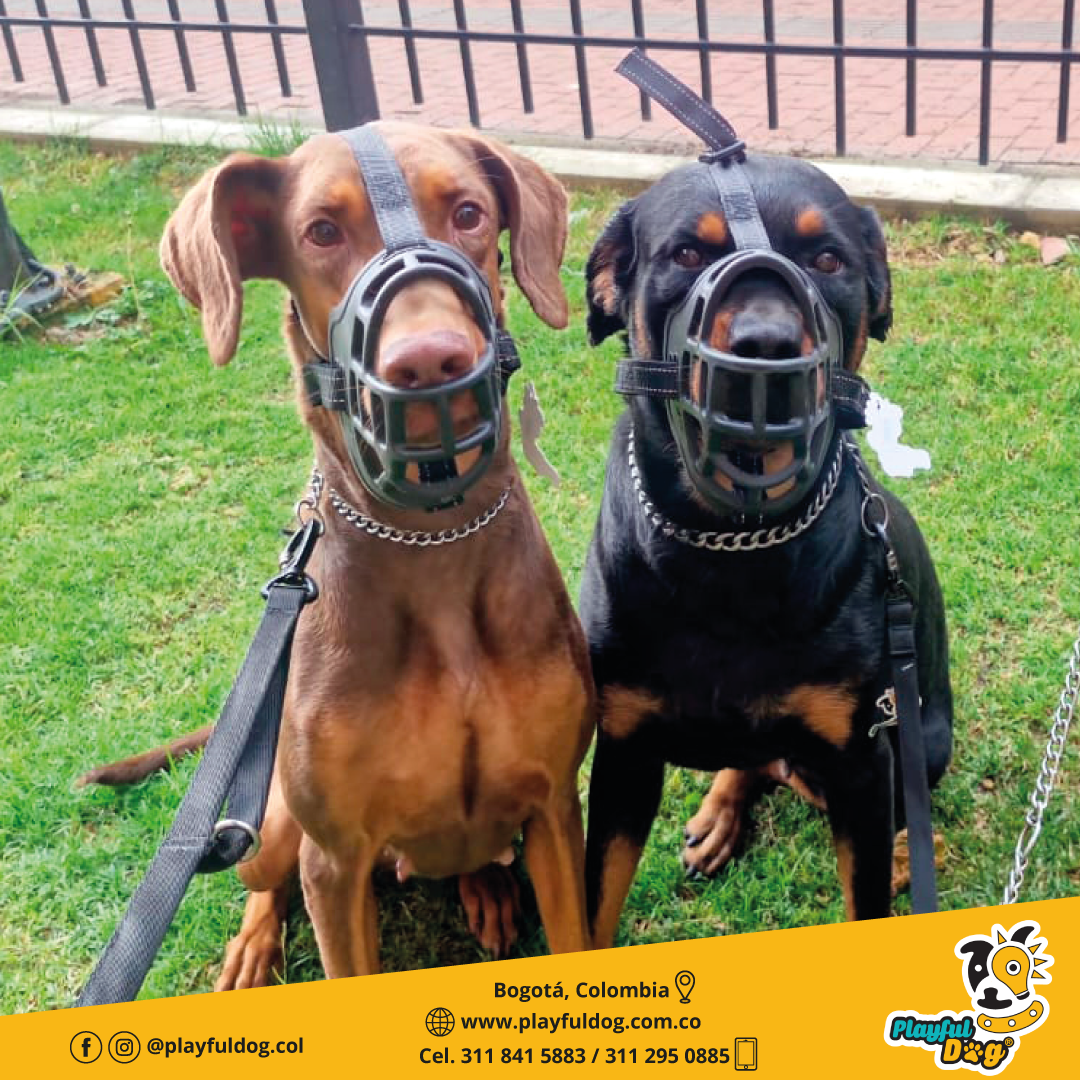 Bozal Para Perro En Caucho