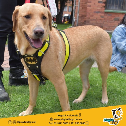 Pechera para Perros Superhéroes