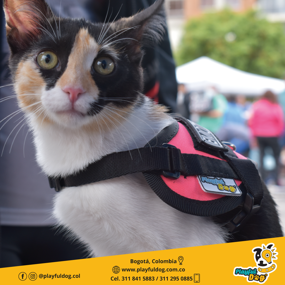 Arnés Para Perro o Gato Emotional Support - XS
