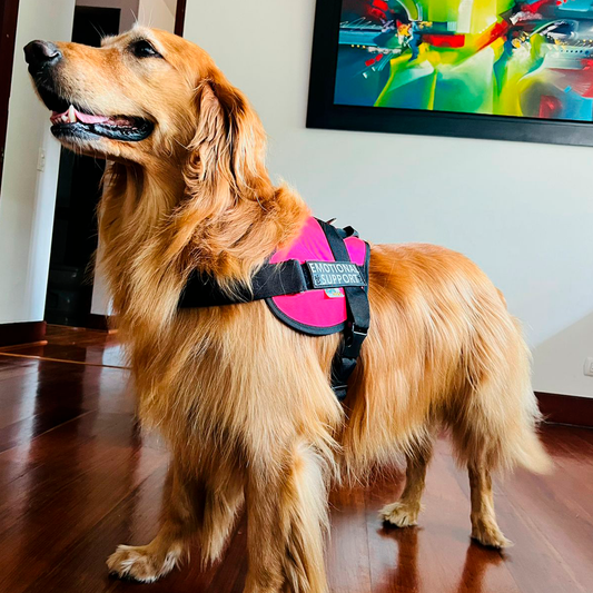 Arnés Para Perro Emotional Support - L