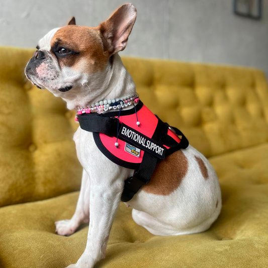 Arnés Para Perro Emotional Support - S