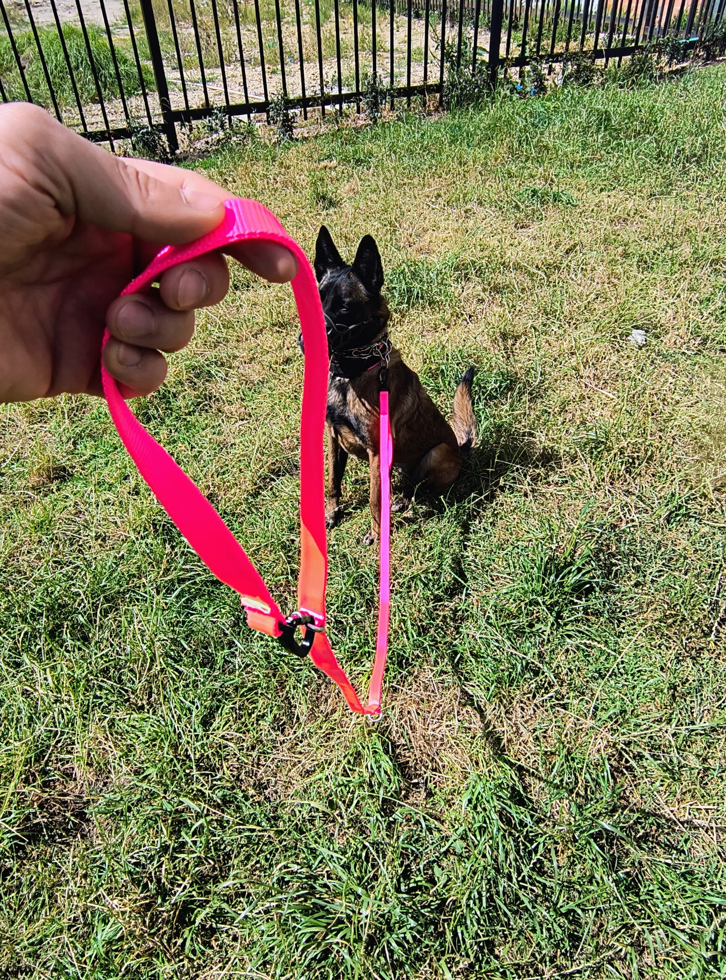Correa Para Perro Multifuncional