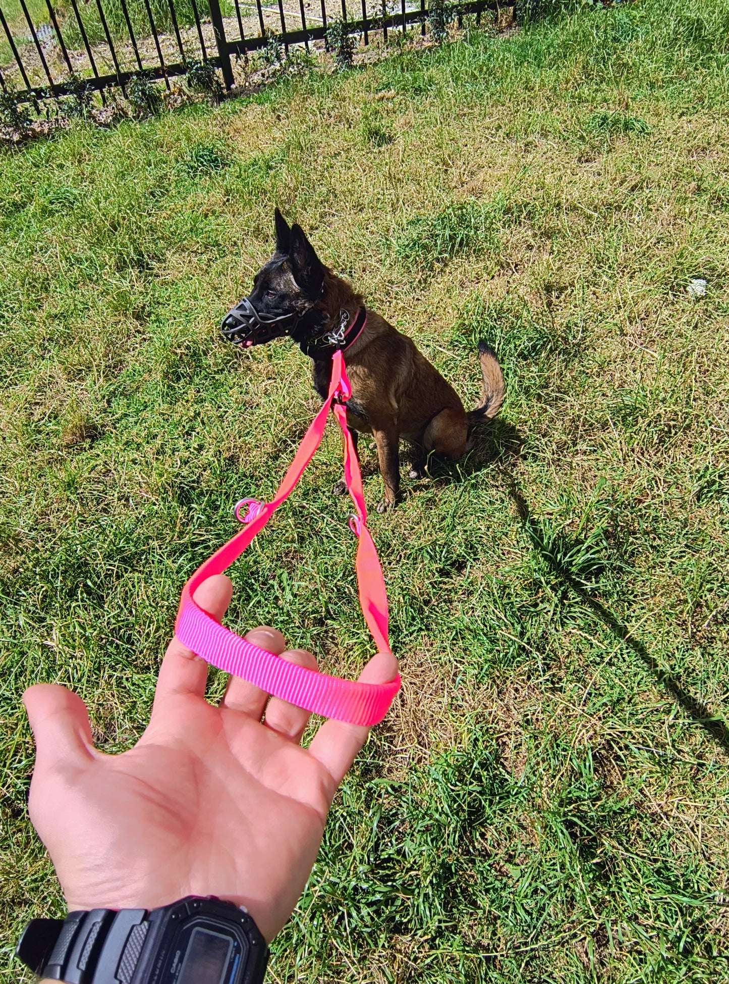 Correa Para Perro Multifuncional