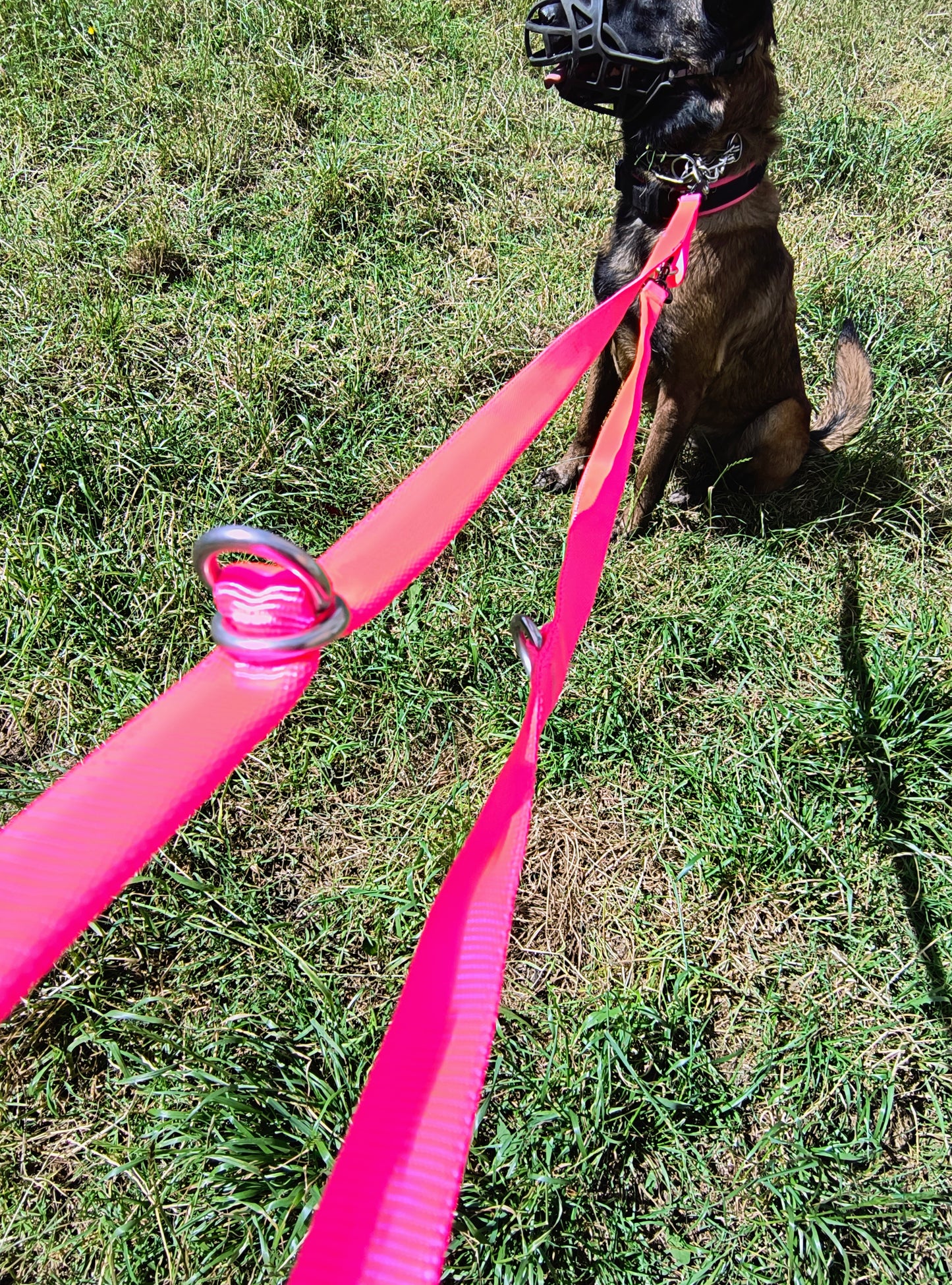 Correa Para Perro Multifuncional