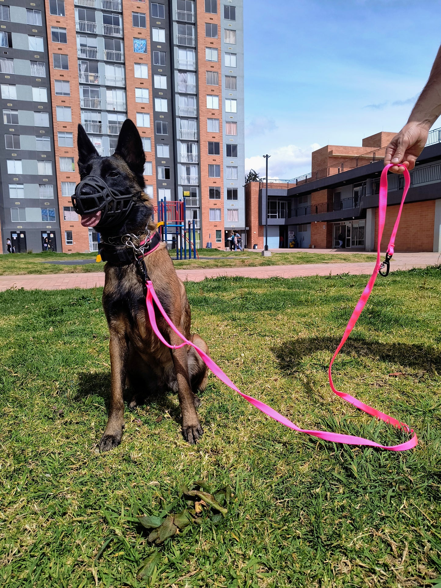 Correa Para Perro Multifuncional