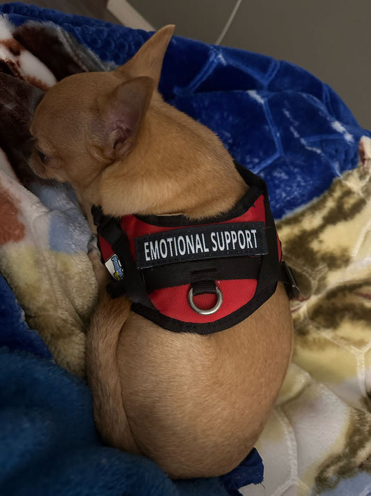 Arnés Para Perro Emotional Support - XS