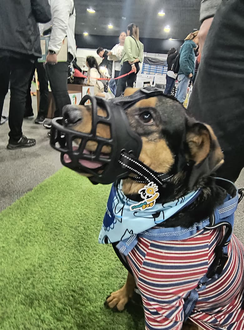 Bozal Para Perro En Caucho