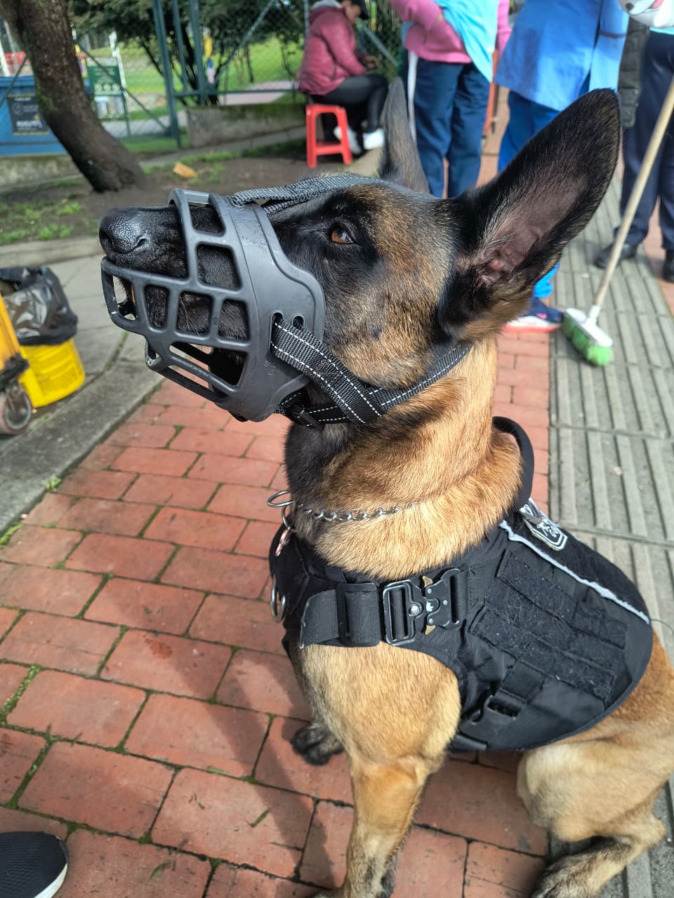 Bozal Para Perro En Caucho