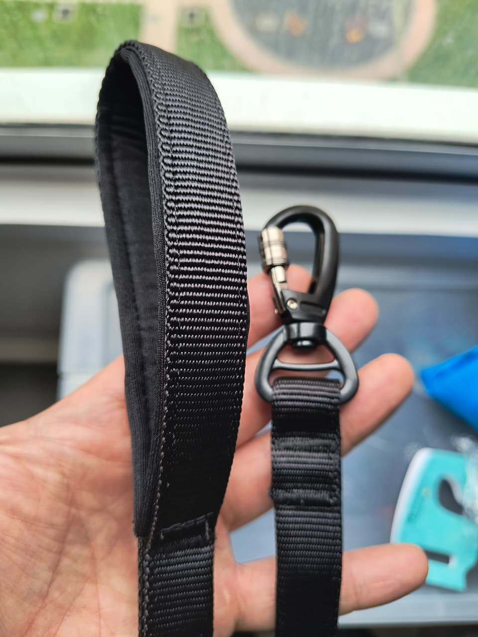 Correa Para Perro Mosquetón de Seguridad