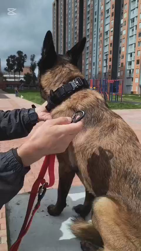 Correa Para Perro Multifuncional
