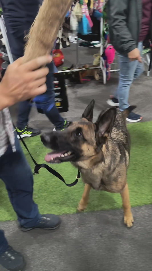 Mordedor Para Perro En Yute G