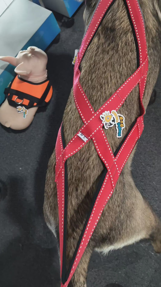 Arnes Para Perro G1 Canicross